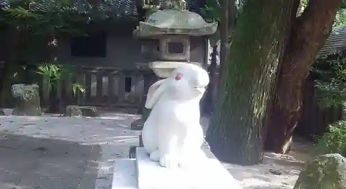 岡崎神社の狛犬