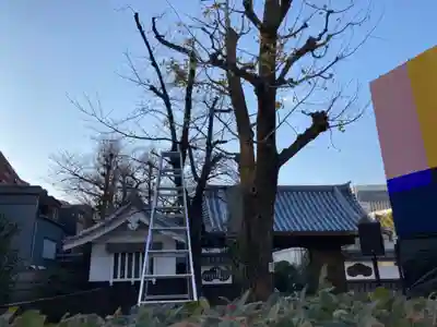 浅草寺のその他建物