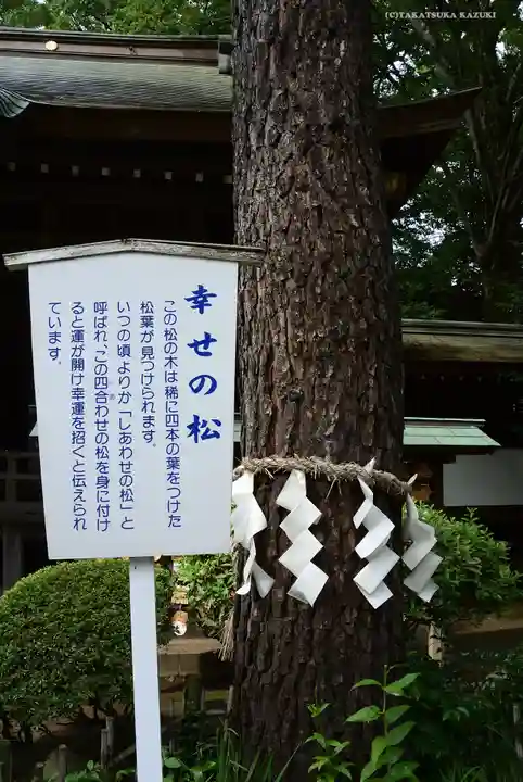 前鳥神社の自然