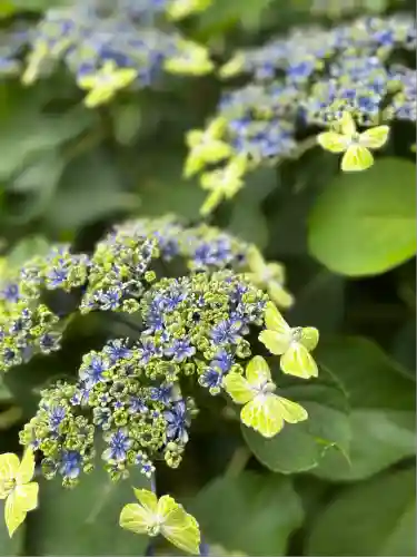 白山神社(東京都)