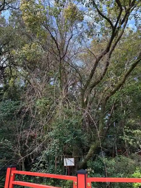 枚聞神社(鹿児島県)