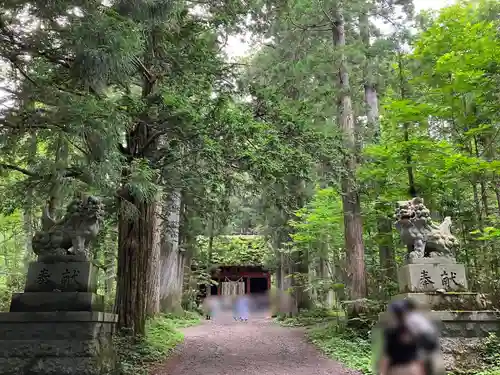 戸隠神社奥社(長野県)