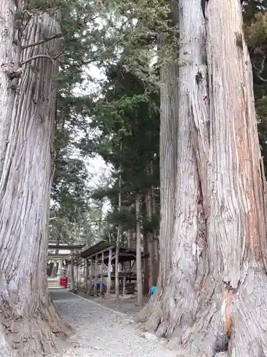 八坂神社の自然