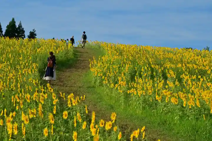 沢山神社(澤山神社)(新潟県)