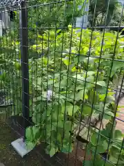 白山神社の庭園