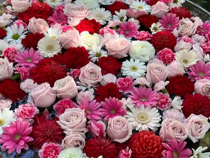 武蔵一宮氷川神社(埼玉県)