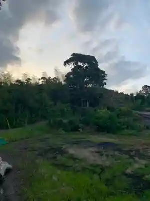 弁財天(千葉県)