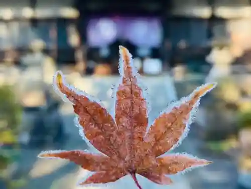 天台宗　長窪山　正覚寺(神奈川県)