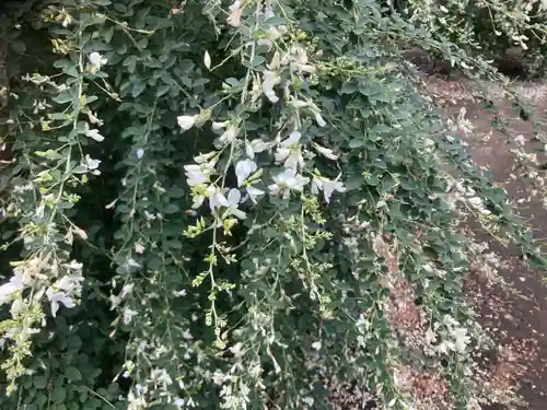 宝戒寺(神奈川県)