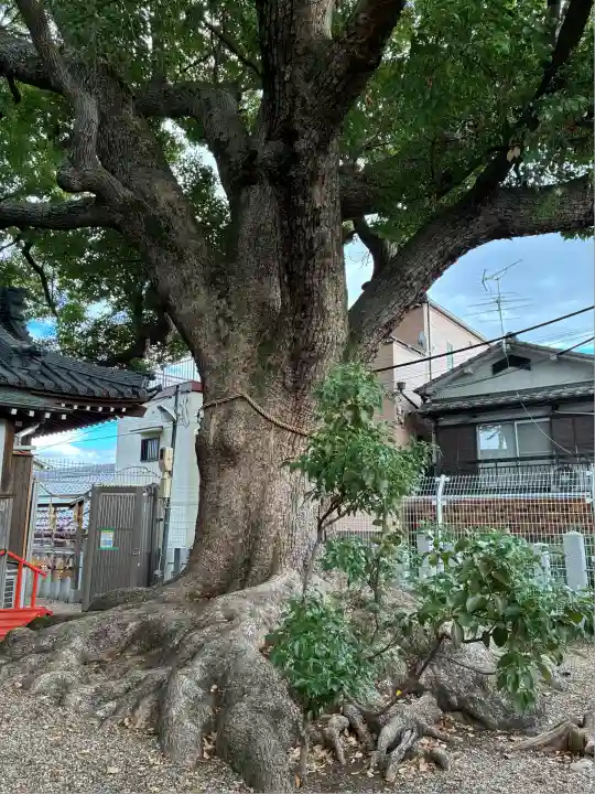阿保神社(大阪府)