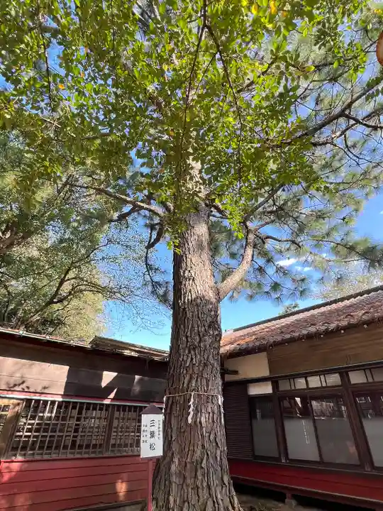 前原御嶽神社(千葉県)