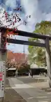 亀戸 香取神社(東京都)