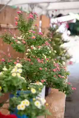 出雲大社相模分祠(神奈川県)