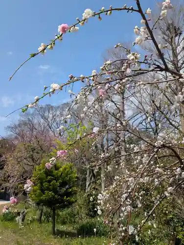 天徳寺(神奈川県)