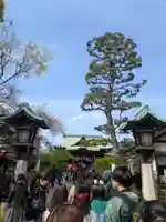 桜神宮(東京都)