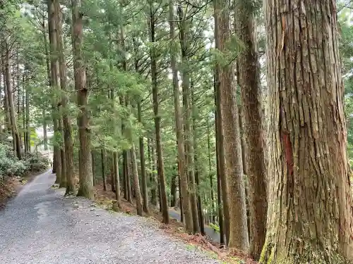 三峯神社の{uncategorized: "未分類", other: "その他", undefined: "問題あり", building: "その他建物", grave: "お墓", sacred_gate: "鳥居", guardian: "狛犬", statue: "像", buddha: "仏像", history: "歴史", nature: "自然", garden: "庭園", animal: "動物", pagoda: "塔", temizu: "手水舎", mountain_gate: "山門・神門", sanctuary: "本殿・本堂", subordinate: "末社・摂社", art: "芸術", scenery: "景色", jizo: "地蔵", ema: "絵馬", goshuin: "御朱印", omikuji: "おみくじ", items: "授与品その他", amulet: "お守り", goshuincho: "御朱印帳", eats: "食事", festival: "お祭り", votive_dance: "神楽", shichigosan: "七五三参", wedding: "結婚式", experience: "体験その他", initially: "初詣", around: "周辺", anti_infection: "感染症対策"}