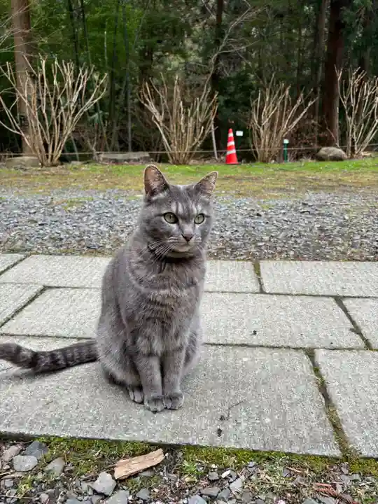 鷲子山上神社(栃木県)