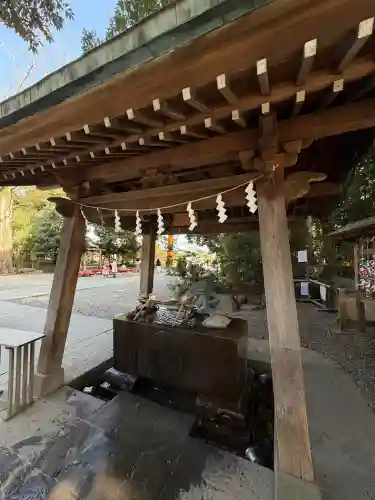 川越氷川神社(埼玉県)