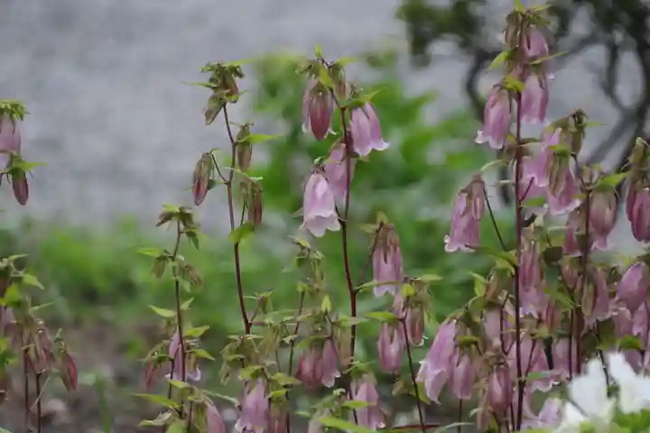 豊景神社の自然