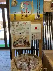 旭川神社のおみくじ