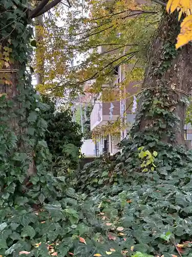 小野神社の自然