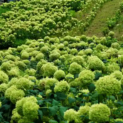 陽林寺(福島県)