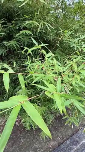西林寺(愛媛県)
