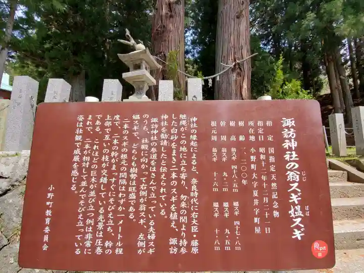夏井諏訪神社の歴史
