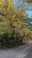 今熊野観音寺(京都府)
