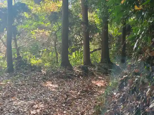 矢背負稲荷神社の周辺