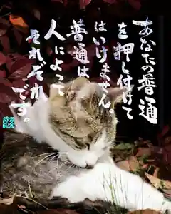 専念寺(大阪府)(2022年09月16日(金) 19時41分11秒投稿)