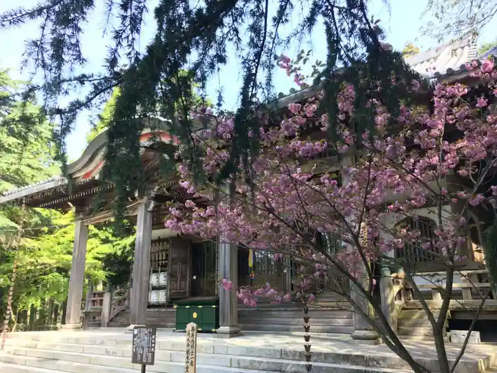 播州清水寺の自然