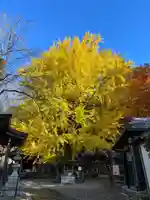 正法寺(滋賀県)