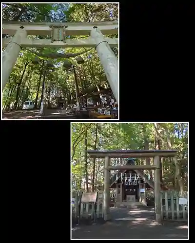 宝登山神社奥宮の鳥居