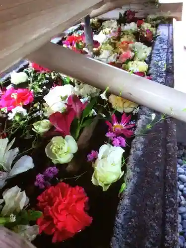 鳩森八幡神社(東京都)