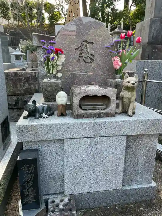 海蔵院の{uncategorized: "未分類", other: "その他", undefined: "問題あり", building: "その他建物", grave: "お墓", sacred_gate: "鳥居", guardian: "狛犬", statue: "像", buddha: "仏像", history: "歴史", nature: "自然", garden: "庭園", animal: "動物", pagoda: "塔", temizu: "手水舎", mountain_gate: "山門・神門", sanctuary: "本殿・本堂", subordinate: "末社・摂社", art: "芸術", scenery: "景色", jizo: "地蔵", ema: "絵馬", goshuin: "御朱印", omikuji: "おみくじ", items: "授与品その他", amulet: "お守り", goshuincho: "御朱印帳", eats: "食事", festival: "お祭り", votive_dance: "神楽", shichigosan: "七五三参", wedding: "結婚式", experience: "体験その他", initially: "初詣", around: "周辺", anti_infection: "感染症対策"}