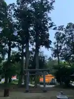 諏訪神社の鳥居