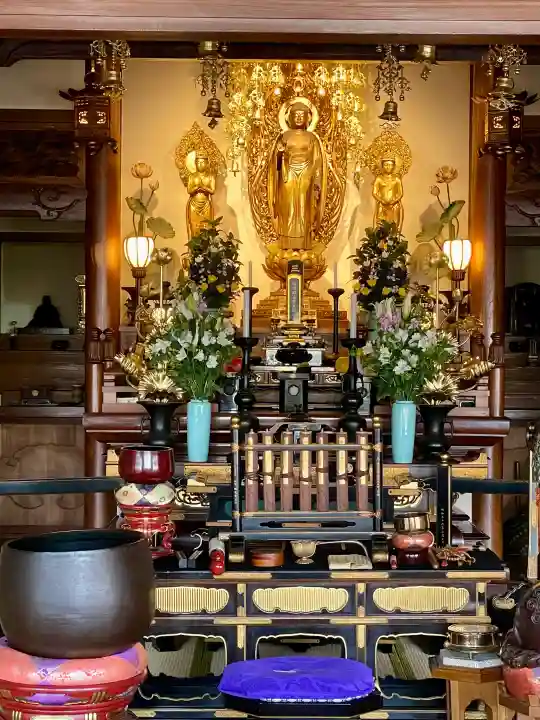 西念寺の{uncategorized: "未分類", other: "その他", undefined: "問題あり", building: "その他建物", grave: "お墓", sacred_gate: "鳥居", guardian: "狛犬", statue: "像", buddha: "仏像", history: "歴史", nature: "自然", garden: "庭園", animal: "動物", pagoda: "塔", temizu: "手水舎", mountain_gate: "山門・神門", sanctuary: "本殿・本堂", subordinate: "末社・摂社", art: "芸術", scenery: "景色", jizo: "地蔵", ema: "絵馬", goshuin: "御朱印", omikuji: "おみくじ", items: "授与品その他", amulet: "お守り", goshuincho: "御朱印帳", eats: "食事", festival: "お祭り", votive_dance: "神楽", shichigosan: "七五三参", wedding: "結婚式", experience: "体験その他", initially: "初詣", around: "周辺", anti_infection: "感染症対策"}