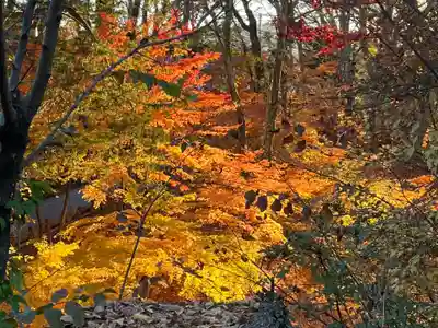 懐古神社(長野県)