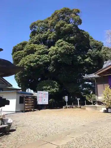 九重神社の自然