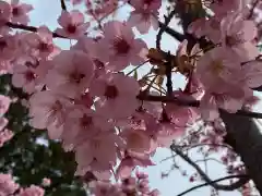 賀茂別雷神社（上賀茂神社）の自然