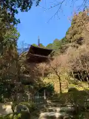 金剛輪寺の建物その他