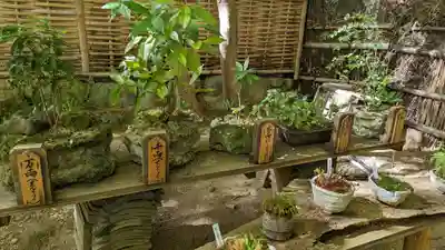 祇王寺(京都府)