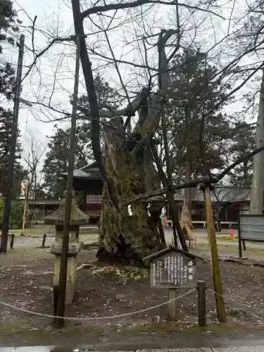 蠶養國神社の{uncategorized: "未分類", other: "その他", undefined: "問題あり", building: "その他建物", grave: "お墓", sacred_gate: "鳥居", guardian: "狛犬", statue: "像", buddha: "仏像", history: "歴史", nature: "自然", garden: "庭園", animal: "動物", pagoda: "塔", temizu: "手水舎", mountain_gate: "山門・神門", sanctuary: "本殿・本堂", subordinate: "末社・摂社", art: "芸術", scenery: "景色", jizo: "地蔵", ema: "絵馬", goshuin: "御朱印", omikuji: "おみくじ", items: "授与品その他", amulet: "お守り", goshuincho: "御朱印帳", eats: "食事", festival: "お祭り", votive_dance: "神楽", shichigosan: "七五三参", wedding: "結婚式", experience: "体験その他", initially: "初詣", around: "周辺", anti_infection: "感染症対策"}