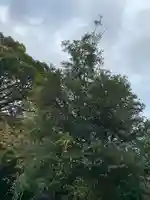 能仁寺(茨城県)