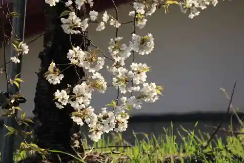 諏訪神社(福島県)