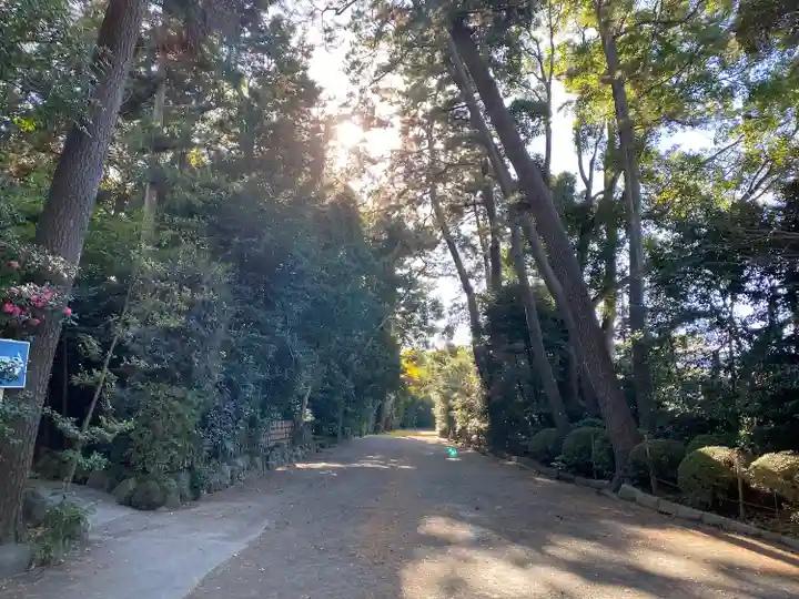 寒川神社(神奈川県)