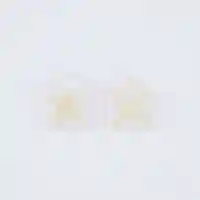 産泰神社(群馬県)