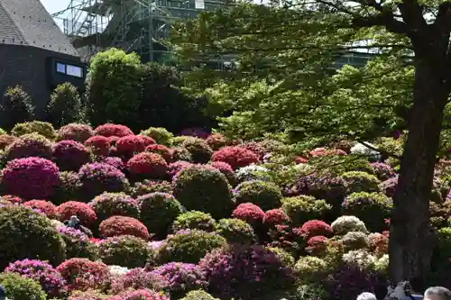 根津神社の庭園