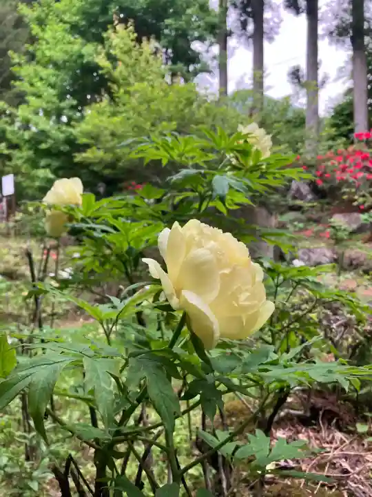 妙雲寺(栃木県)